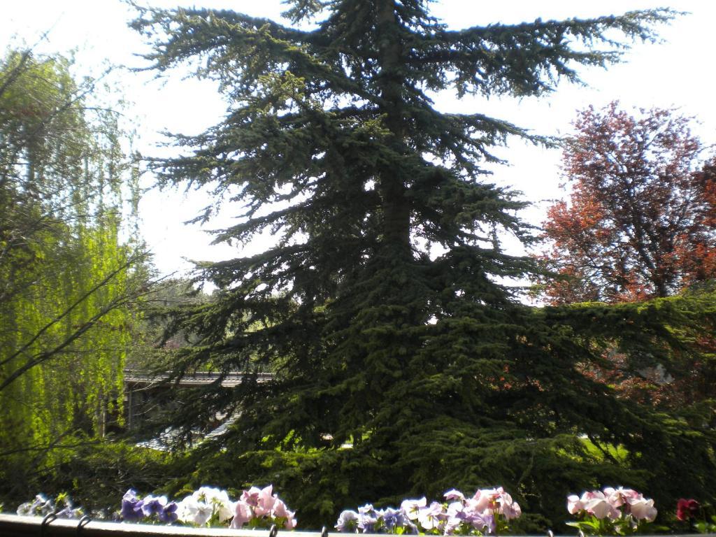 Aux Marguerites Villa Sainte-Genevieve-les-Gasny Bilik gambar